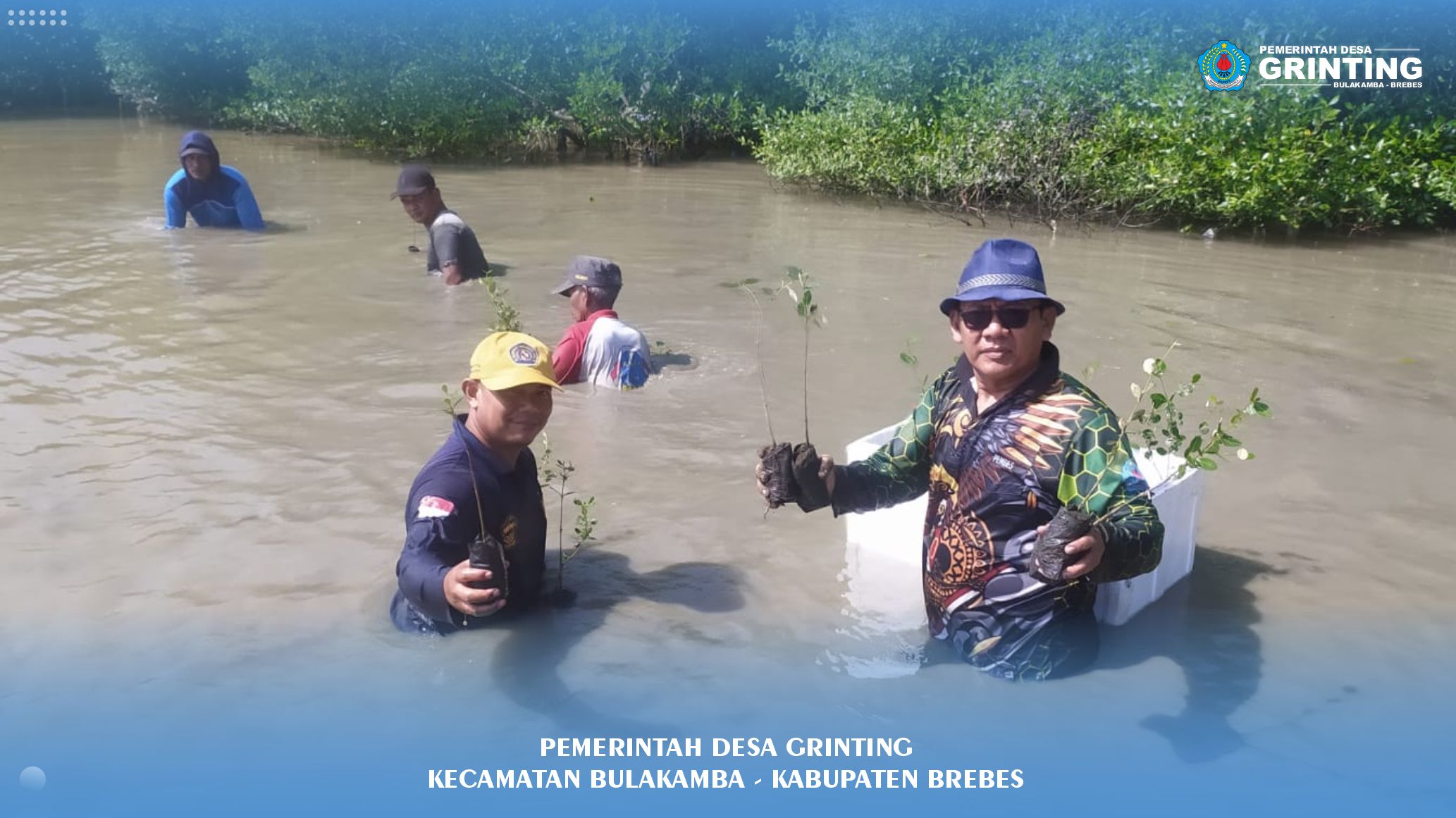 Mageri Laut di Grinting Pulihkan Pesisir Lewat Penanaman Bibit Mangrove 1
